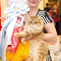 Аватара пользователя