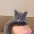 Аватара пользователя