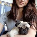 Аватара пользователя