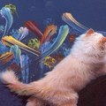 Аватара пользователя